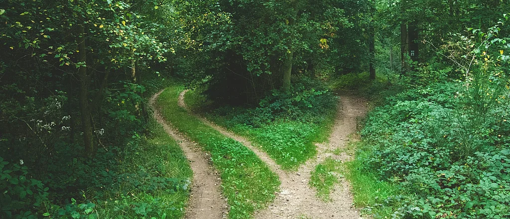 Two paths between trees in a forest