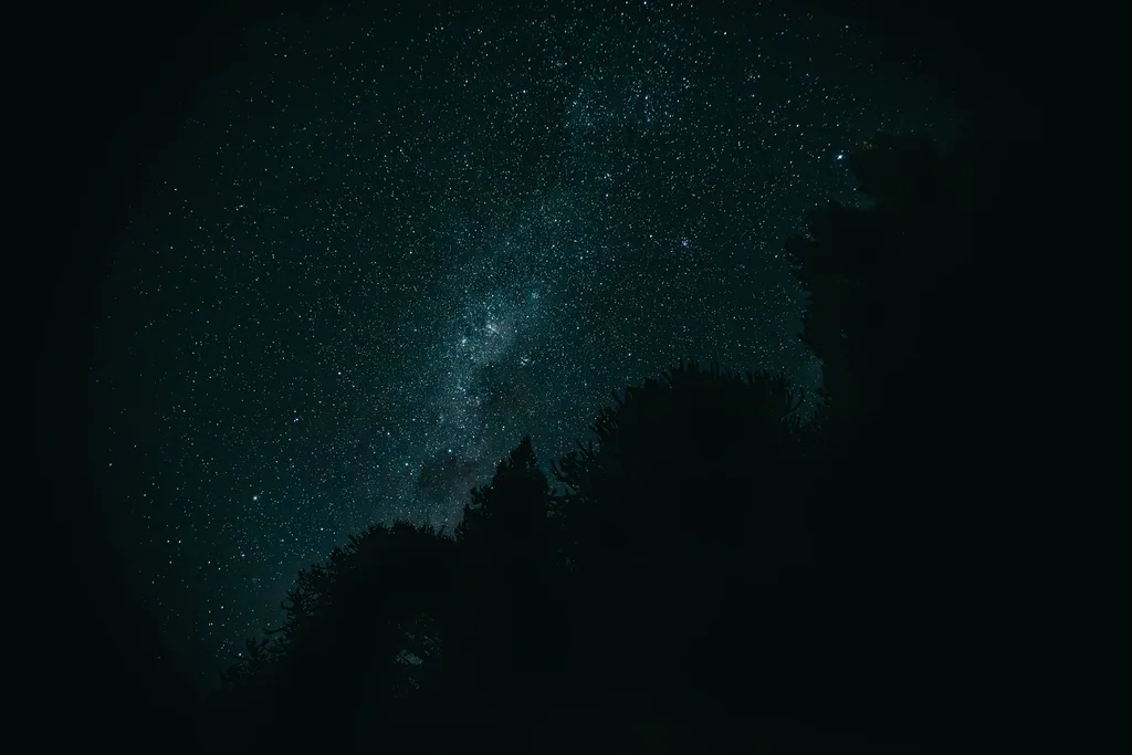 Night sky filled with stars and silhouettes.
