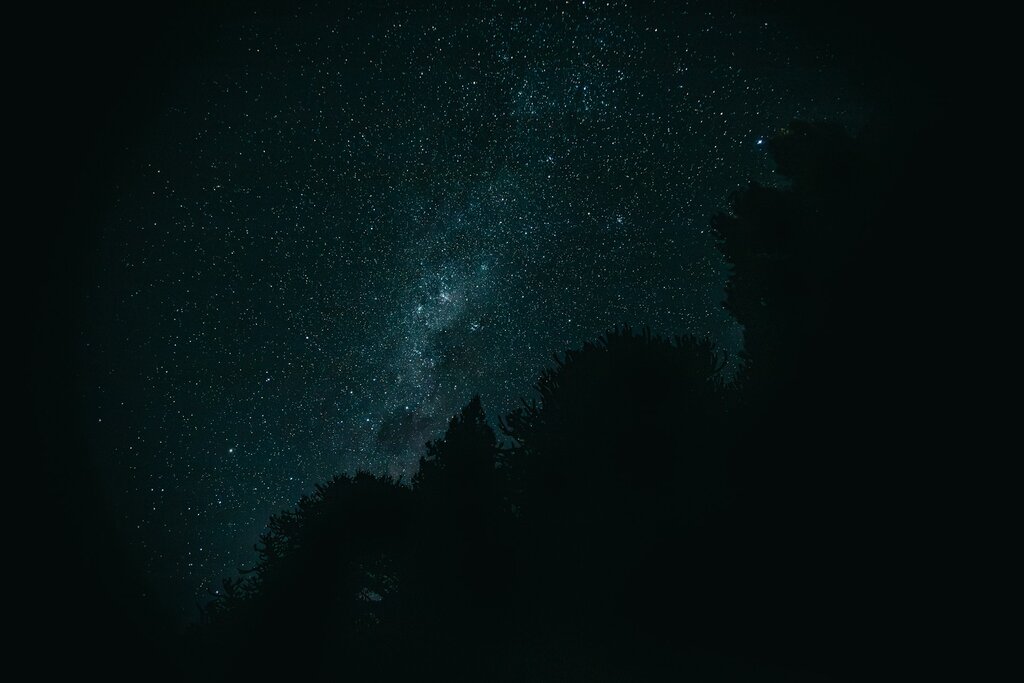 Night sky filled with stars and silhouettes.